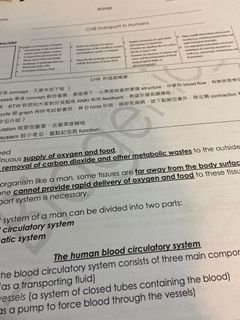 （分類：）位於 。 由 love_your_self_520 提交（商品編號 1109694140，圖片 1）。簡介： 。