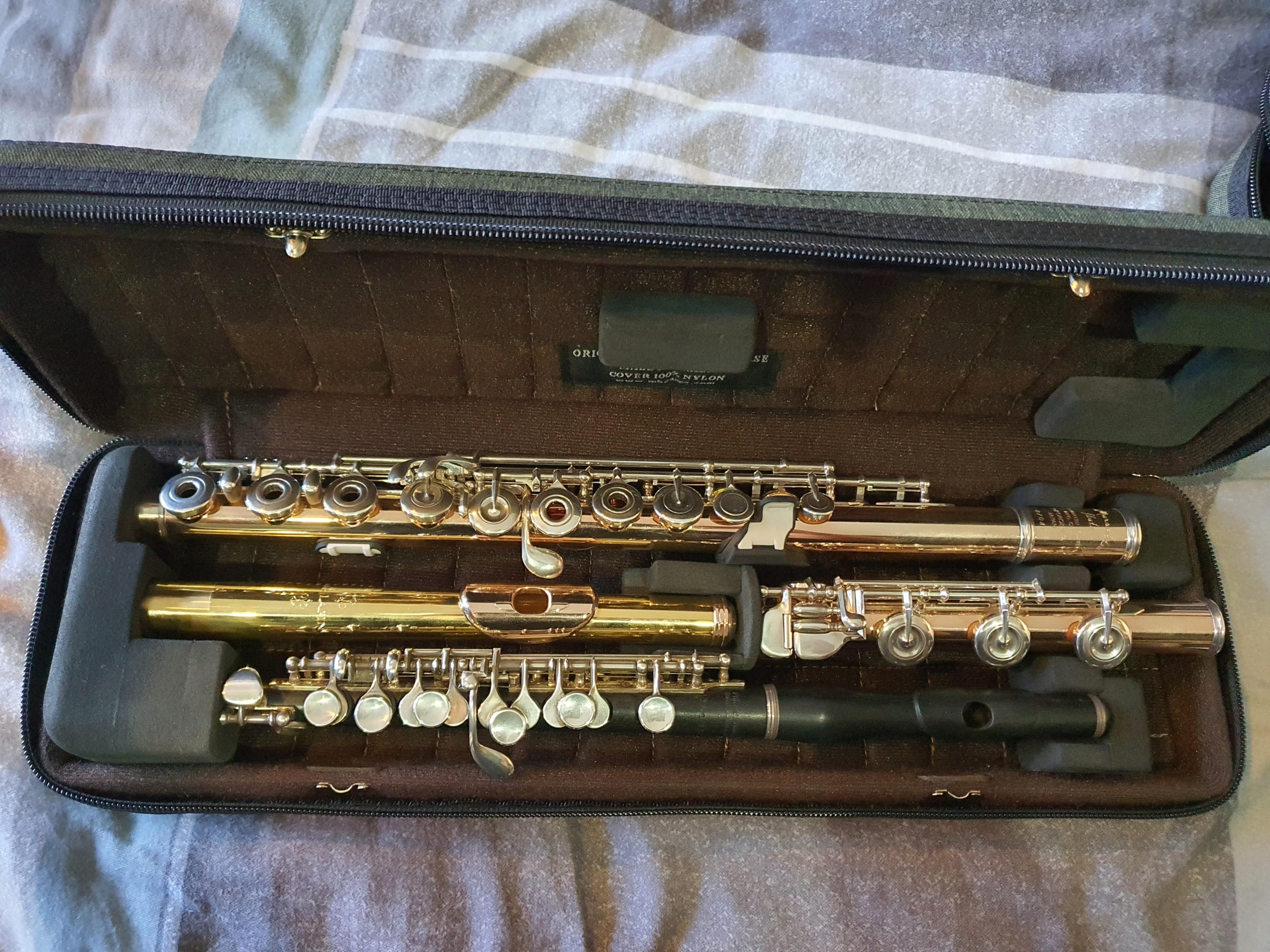 Double flute/piccolo case, Hobbies & Toys, Music & Media, Musical