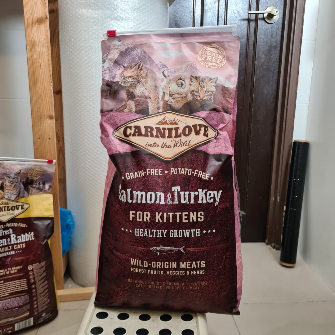 Carnilove wet cat food review online
