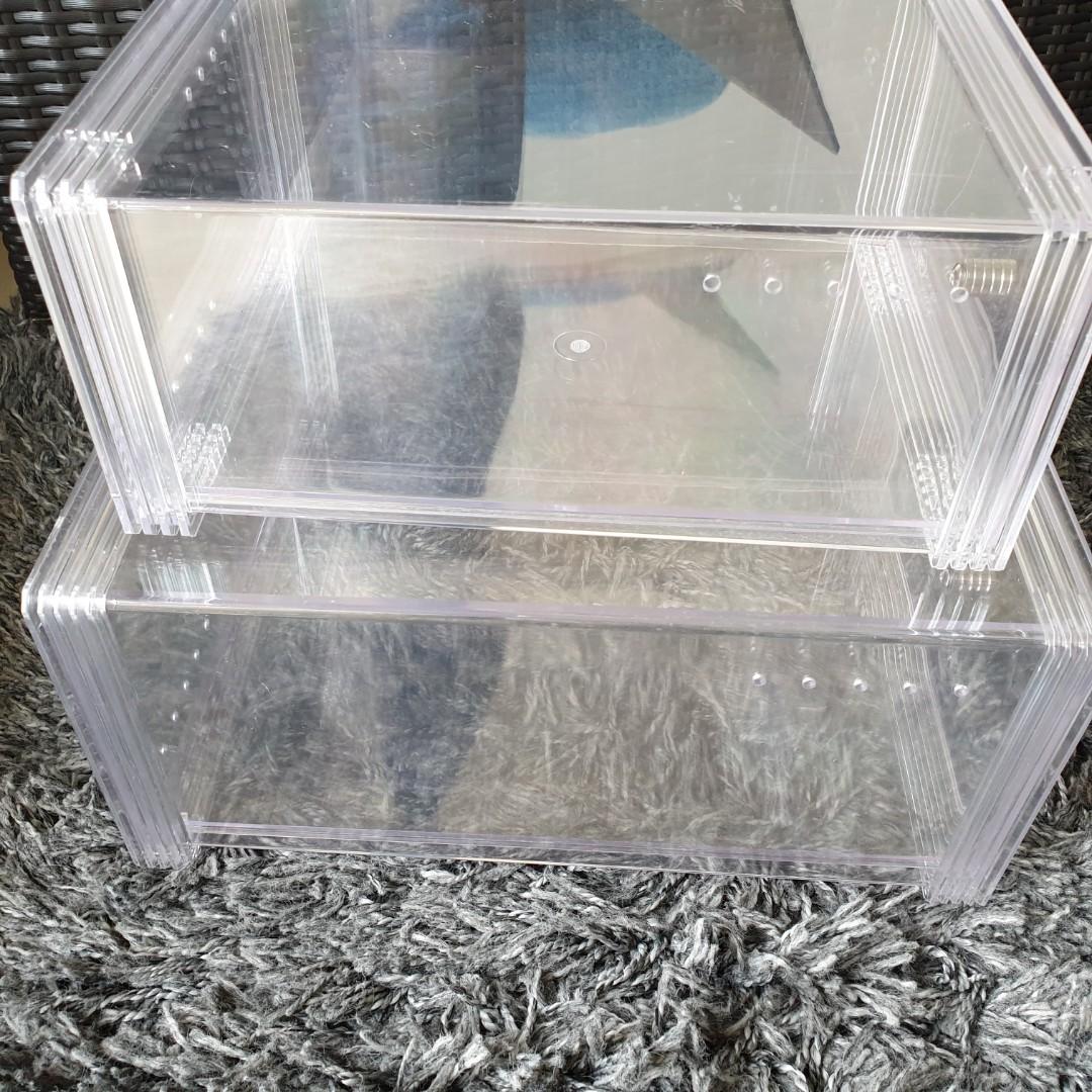Glassy shoe box cheap