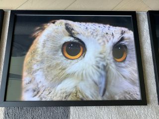 （分類：）位於 。 由 hedleyrobin 提交（商品編號 1109574896，圖片 1）。簡介： 。