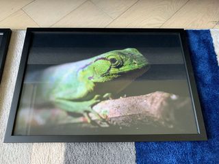 （分類：）位於 。 由 hedleyrobin 提交（商品編號 1109575236，圖片 1）。簡介： 。