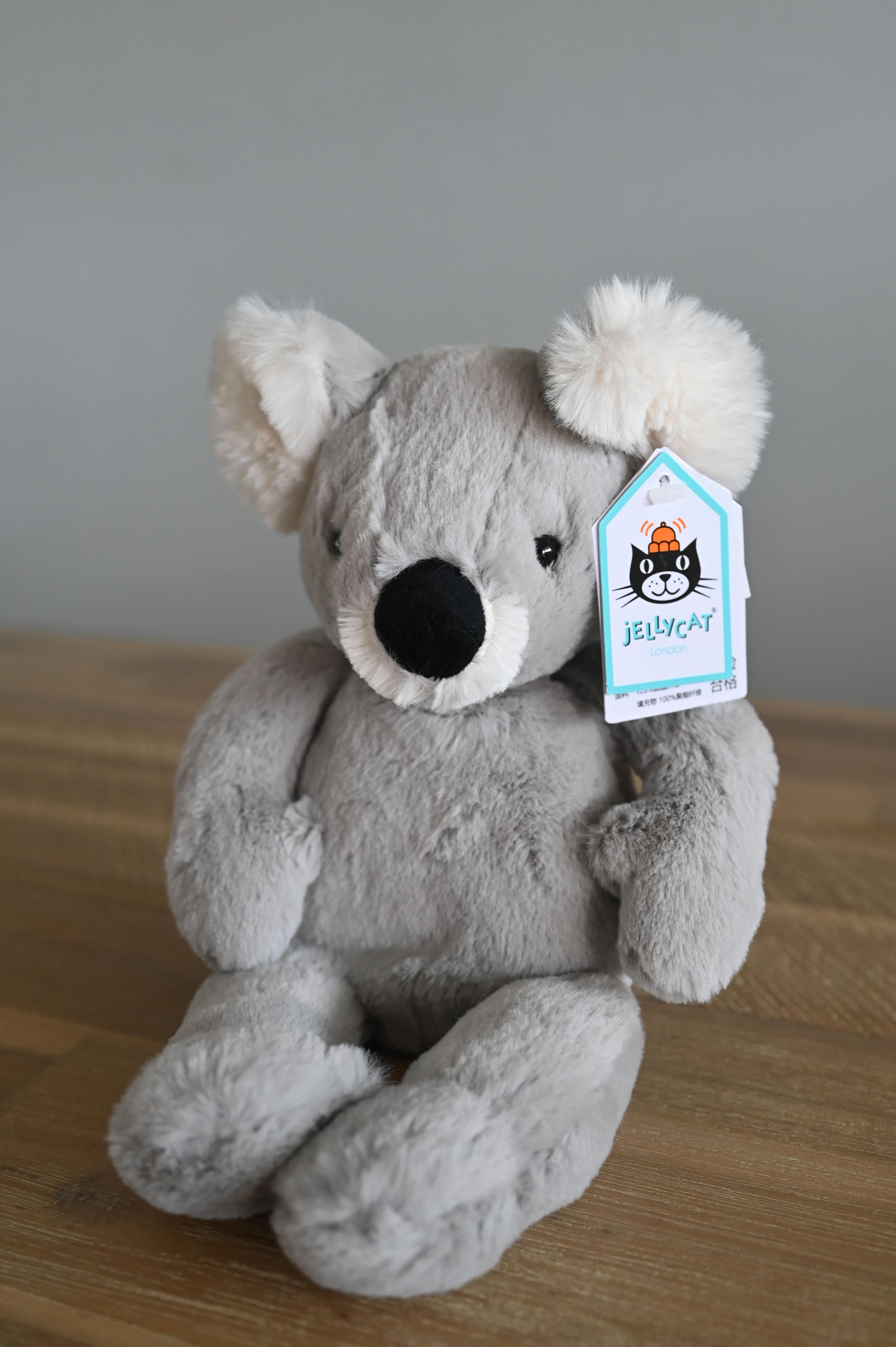 Bashful koala cheap