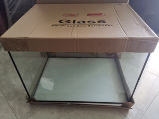 (Category: ) located in . Submitted by easyaquarium (Listing ID 1109779976, Image 1). Description: .