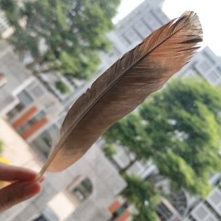 由 kittyching00 (刊登 ID 1109808150，圖片 1) 提交，位於 的 (類別：)，說明：。