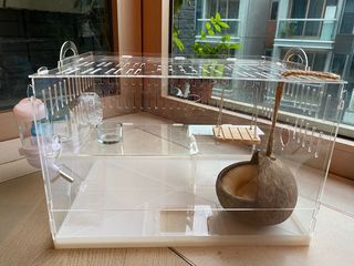 （分類：）位於 。 由 dreamer1995 提交（商品編號 1109856269，圖片 1）。簡介： 。