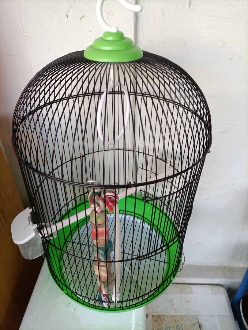 Bird cage, Pet Supplies, Homes & Other Pet Accessories on Carousell