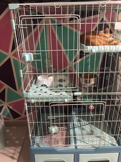 (Category: ) located in . Submitted by js_ (Listing ID 1109813126, Image 1). Description: .