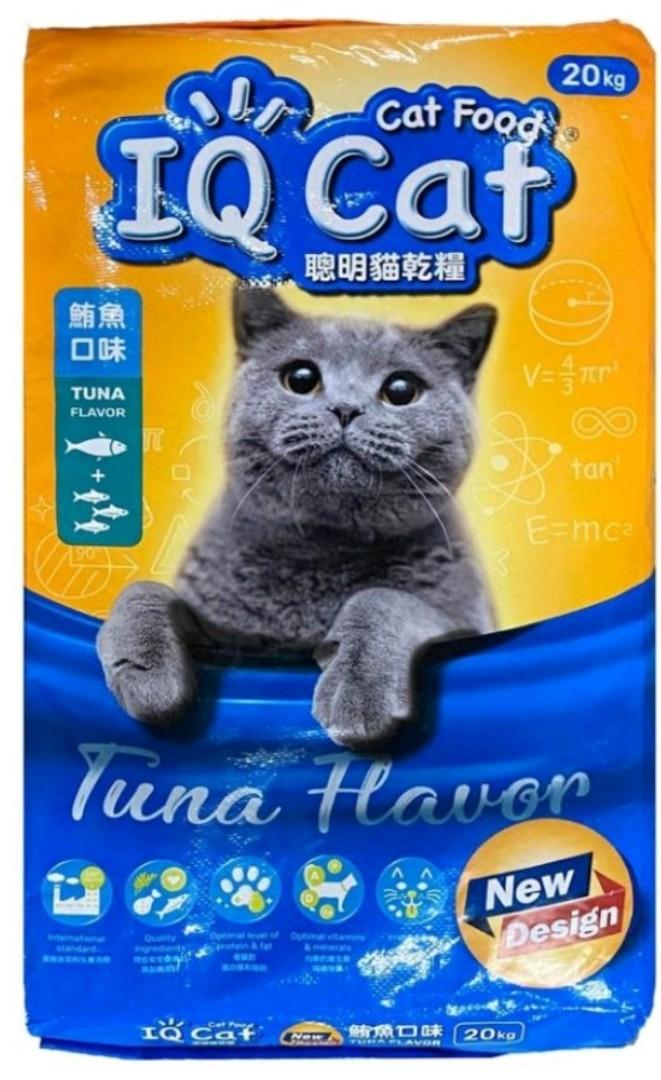 cheap cat supplies