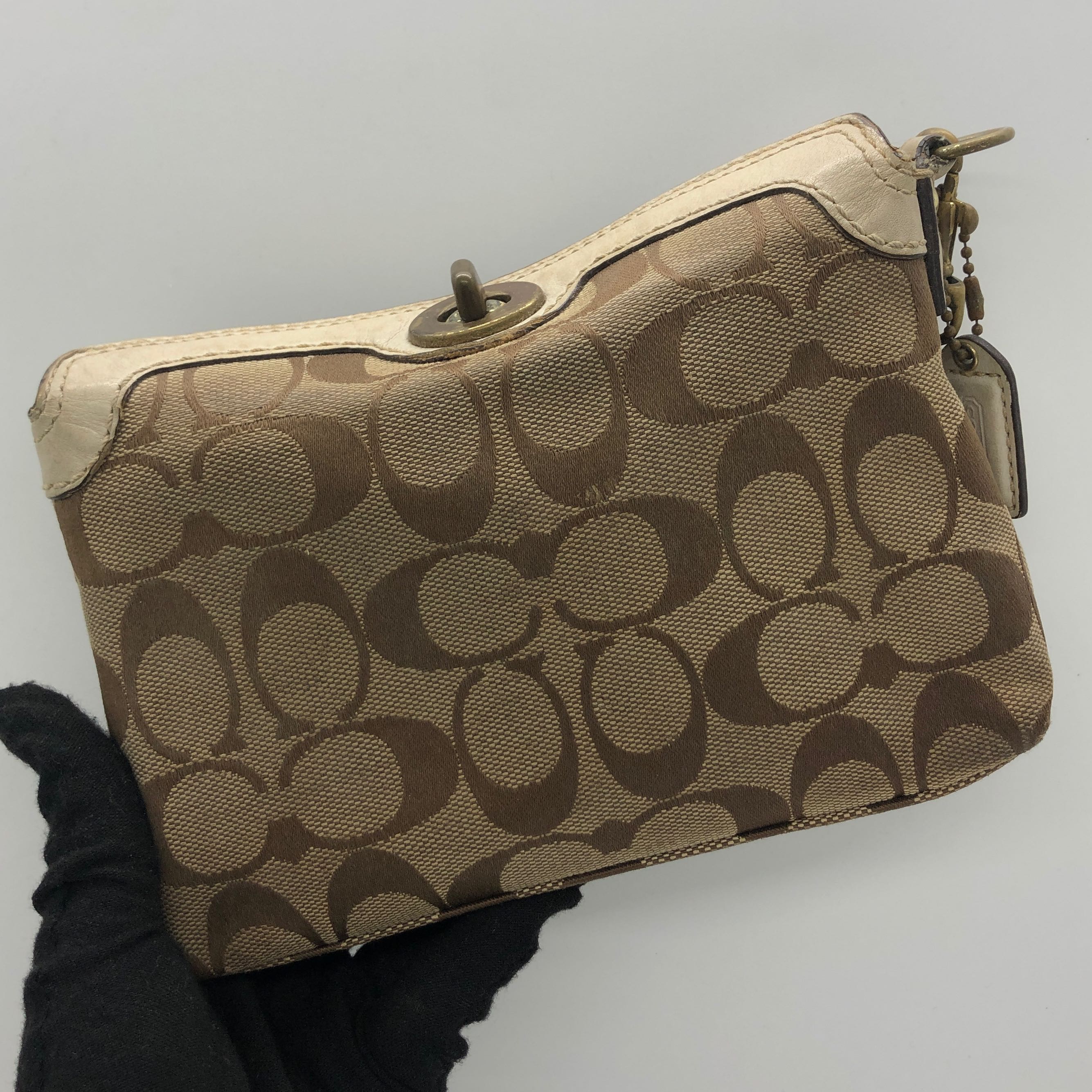 coach accessory pouch