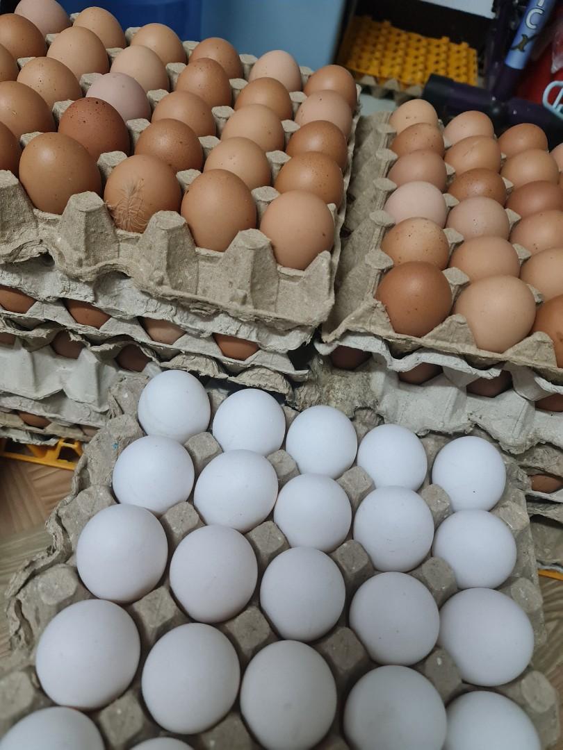Fresh eggs (Category: Fresh Produce) located in Taguig. Submitted by laxmi616 (Listing ID 1109960625, Image 1). Description: fresh produce: medium brown: 180/tray large bron: 210/tray large white: 170/tray.
