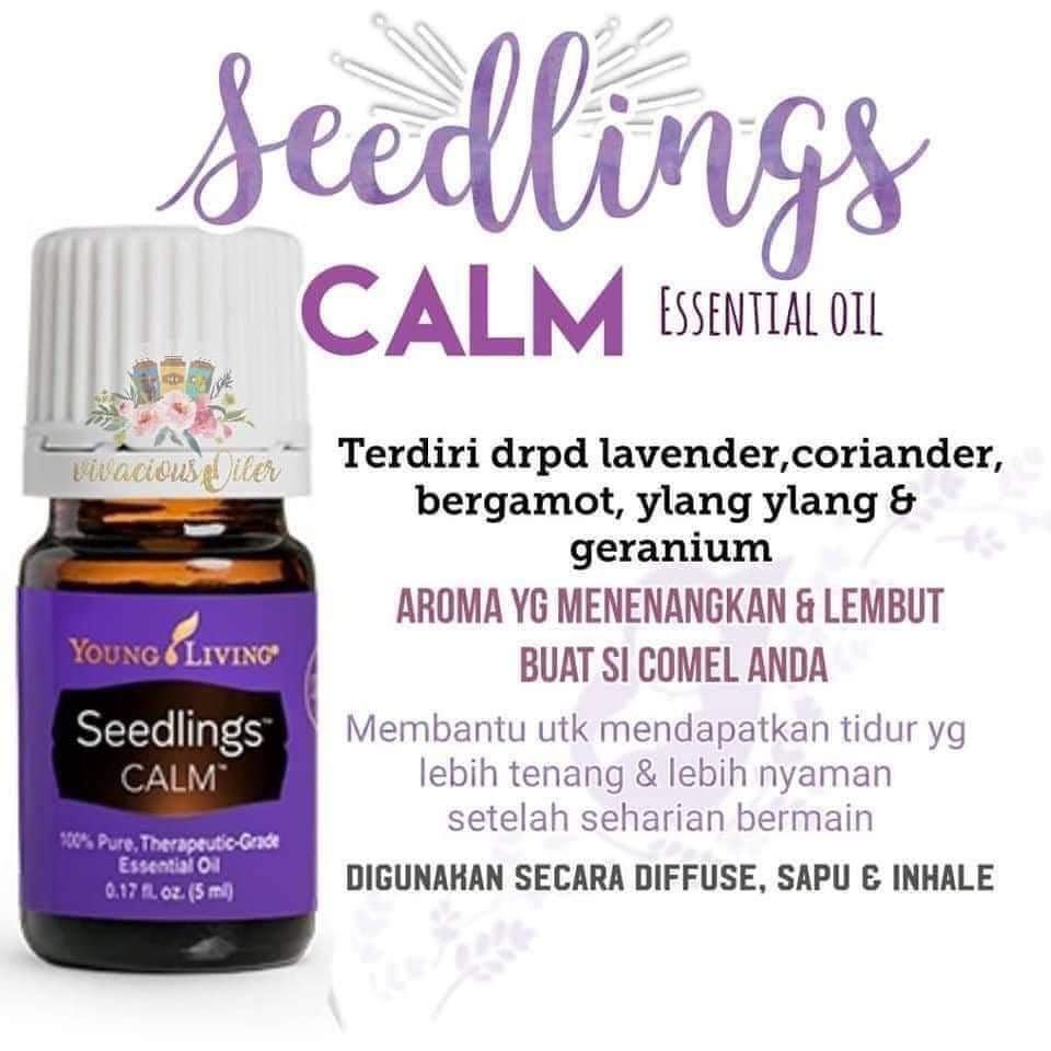 Seedling calm young hot sale living