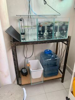(Category: ) located in . Submitted by aquaticman (Listing ID 1110049221, Image 1). Description: .