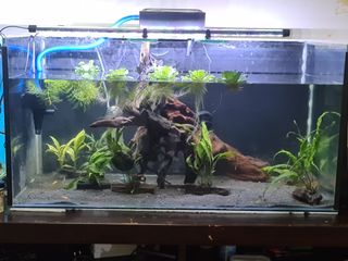 (Category: ) located in . Submitted by highflyr (Listing ID 1110171423, Image 1). Description: .