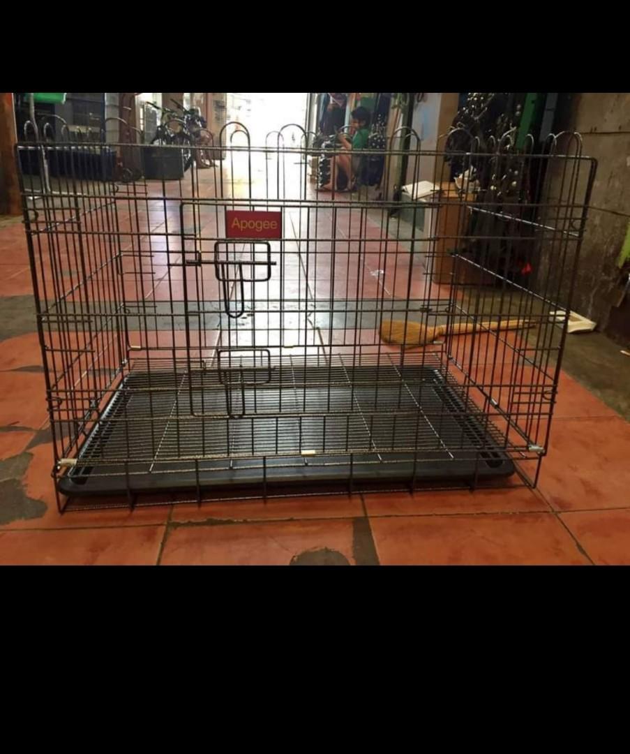 Xl Kong Dog Crate atelieryuwa.ciao.jp