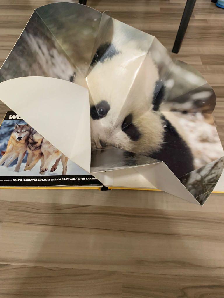 Clearing all children books and some toys, Hobbies & Toys, Books