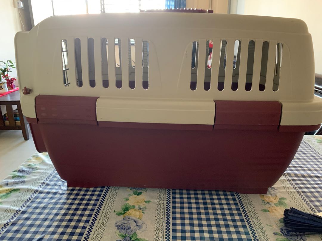 Clipper 2 Marchioro pet carrier Pet Supplies Homes Other Pet Accessories on Carousell