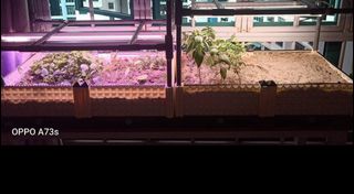 (Category: ) located in . Submitted by jamica.han (Listing ID 1110053743, Image 1). Description: .