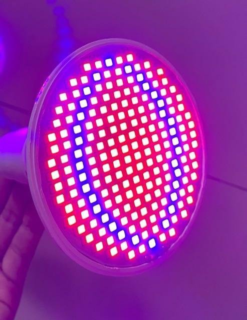 UV GROW LIGHT (Category: Lighting) located in Taguig. Submitted by padaba (Listing ID 1110162468, Image 1). Description: Unused Unused Unused Full Spectrum Red & Blue LED Grow Lamps Base Type: E27 LED Quantity: 60pcs (small) 200 pcs (big) Input Voltage: 220V Wattage: 5W (small) 24W(big) Lifespan: 6000hours Energy Electricity Saving with Higher-level Efficiency. Full spectrum that is necessary & critical for plants growing & flowering (from seedin