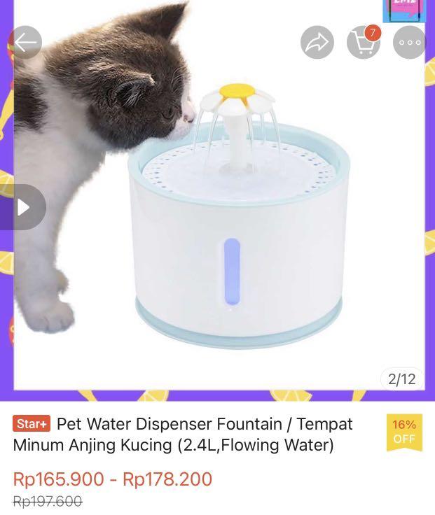 Water Fountain Kucing 2.4L Tempat minum kucing, Perlengkapan Hewan