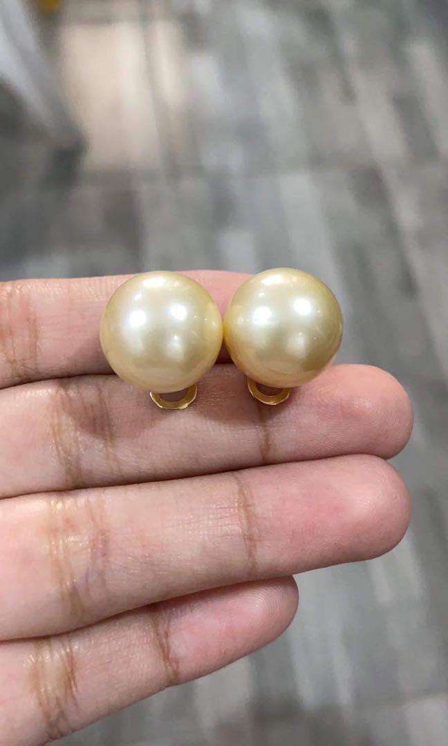 14.3mm Champagne South Sea Stud Earrings in 14K Gold