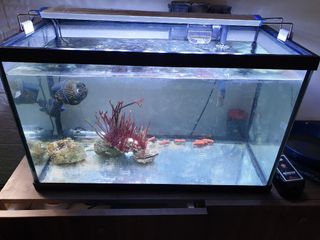 (Category: ) located in . Submitted by bhupenn (Listing ID 1110256522, Image 1). Description: .