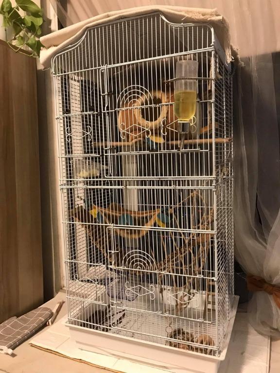 Collapsible bird cage on sale