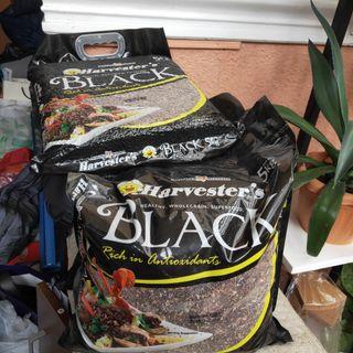 Black rice organic