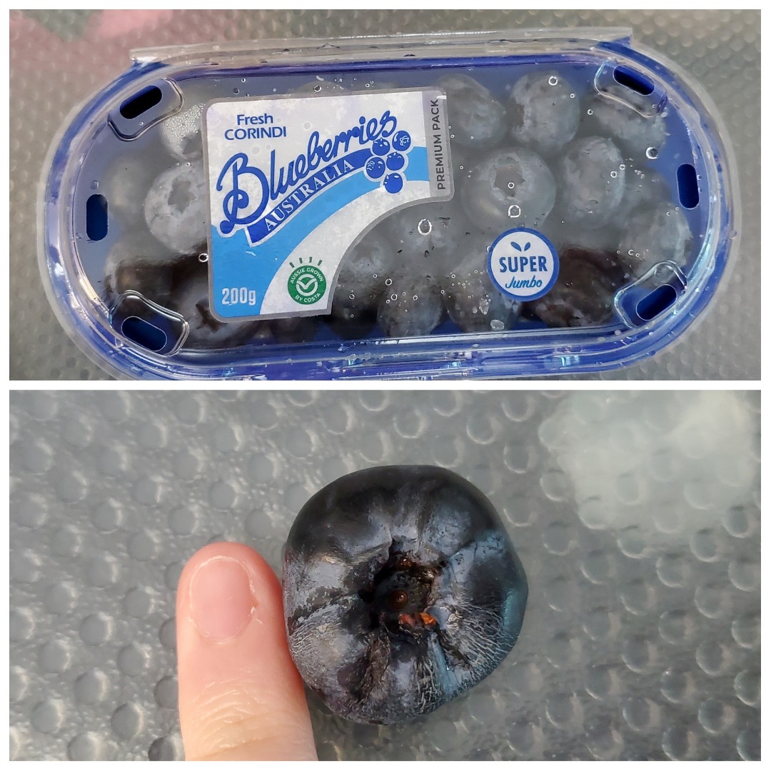 Corindi Super Jumbo Blueberries (200g) – Fresh Collective