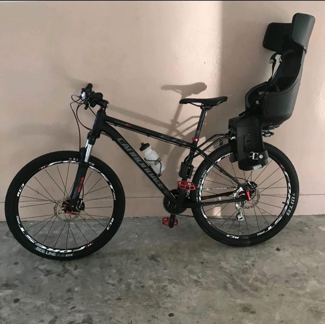 Bobike Exclusive Tour Plus Child Seat Sports Equipment Bicycles
