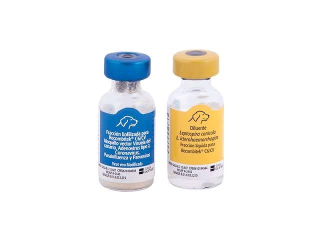 Cost of 5 in 1 vaccine for puppies best sale