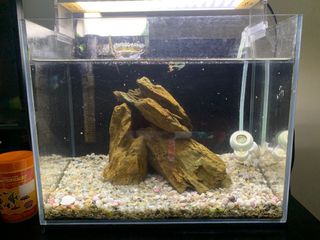 (Category: ) located in . Submitted by purple.fox (Listing ID 1110298363, Image 1). Description: .