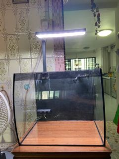 (Category: ) located in . Submitted by plantedtank09 (Listing ID 1110223518, Image 1). Description: .