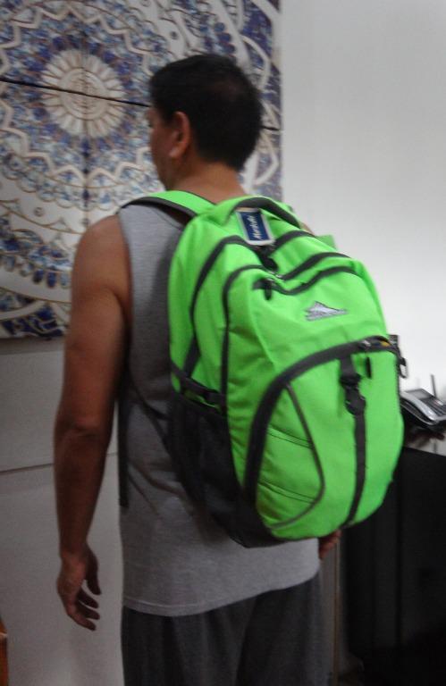 High Sierra Backpack Envie Green or Blue NewUSA Men s Fashion Bags Backpacks on Carousell