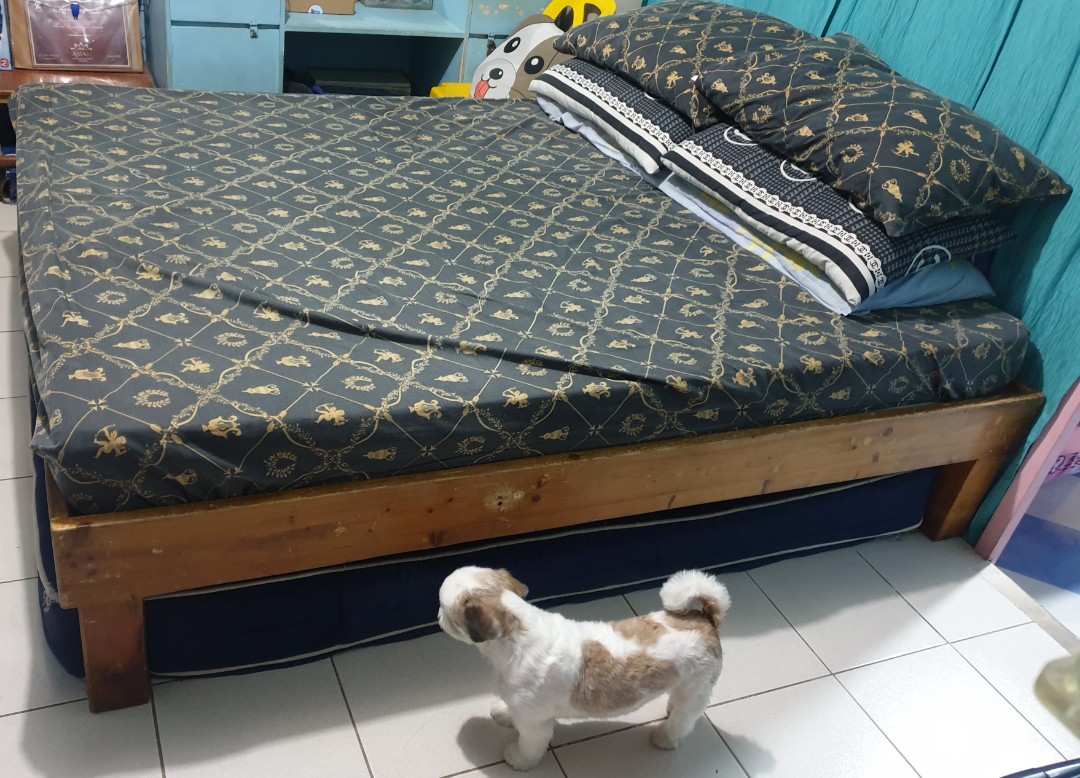 Palochina Wood Queen Size Bed Frame, Furniture & Home Living, Furniture