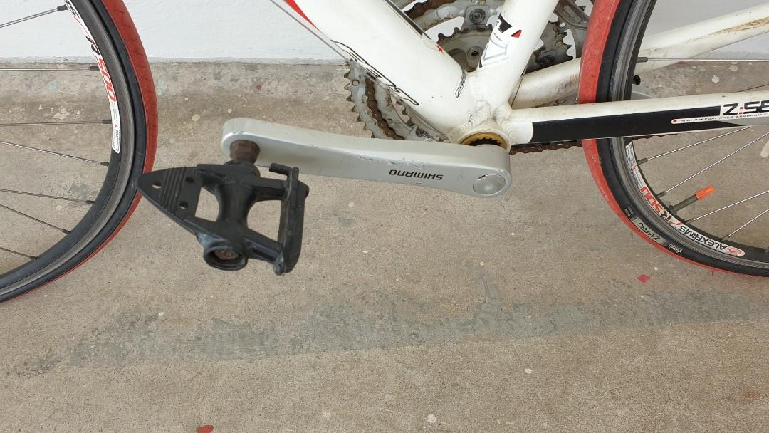 2010 hotsell felt z100
