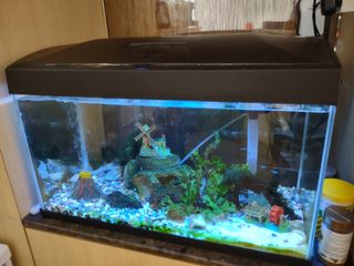 （分類：）位於 。 由 ricky1102 提交（商品編號 1104777828，圖片 1）。簡介： 。