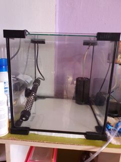(Category: ) located in . Submitted by roy.daijx (Listing ID 1104745719, Image 1). Description: .
