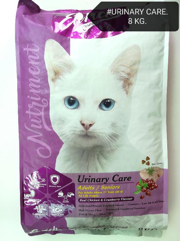 Champion cat cheap food