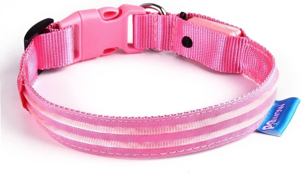 are led strip lights safe for dogs