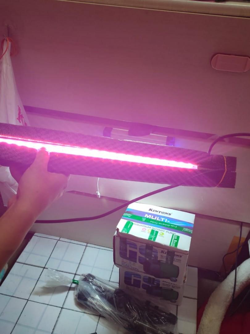 Lelong brand Xian Long Submersible LED Arowana Tanning light Pet
