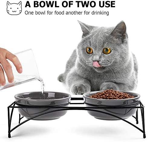 Y YHY Elevated Cat Food Bowl & Reviews