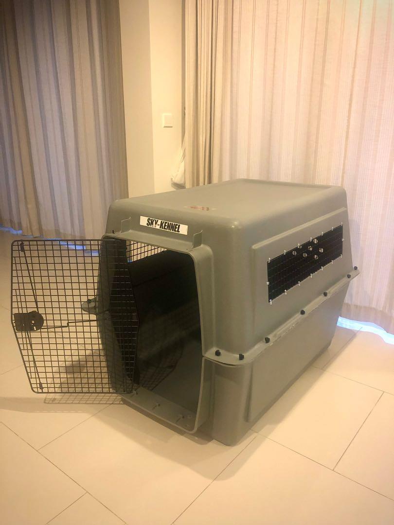 Petmate sky kennel extra large discount