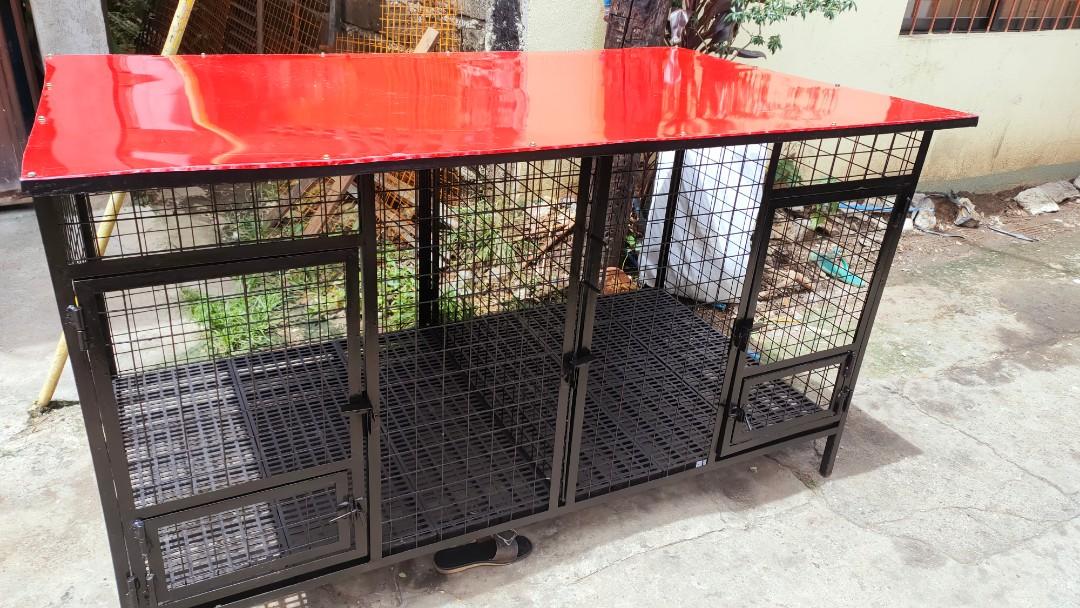 2 door discount dog cage