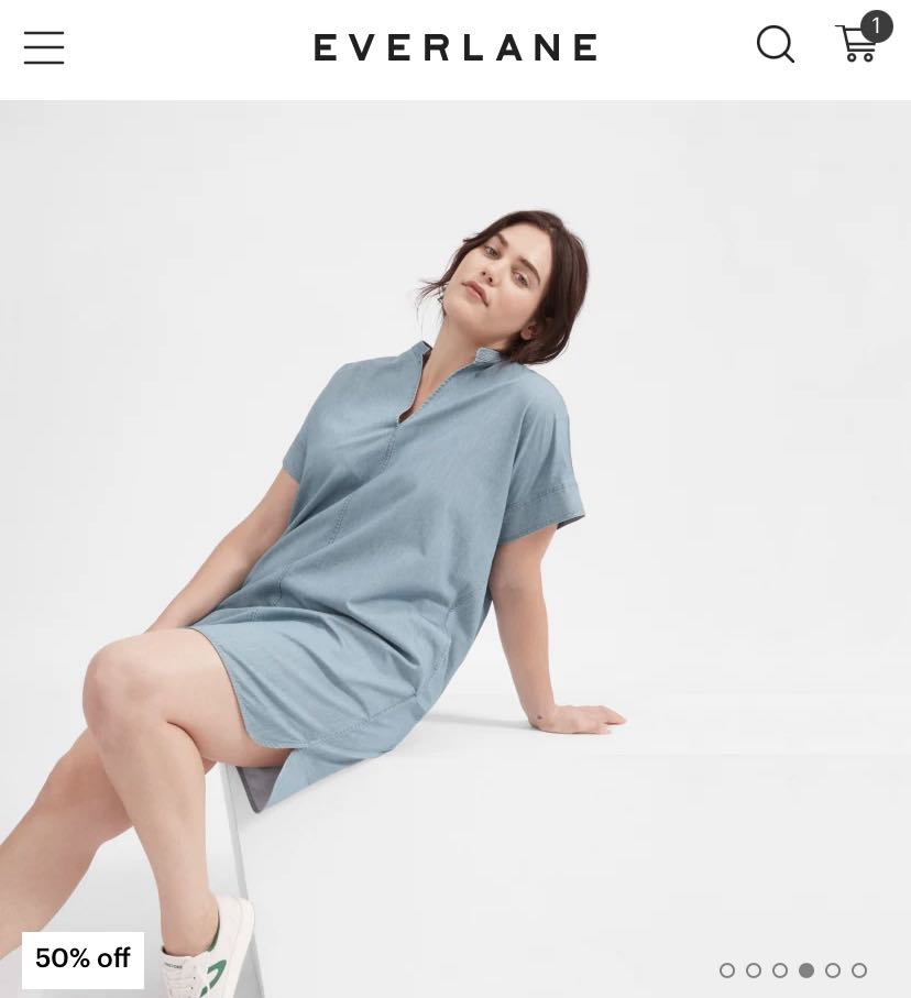 Everlane split neck cheap jean dress