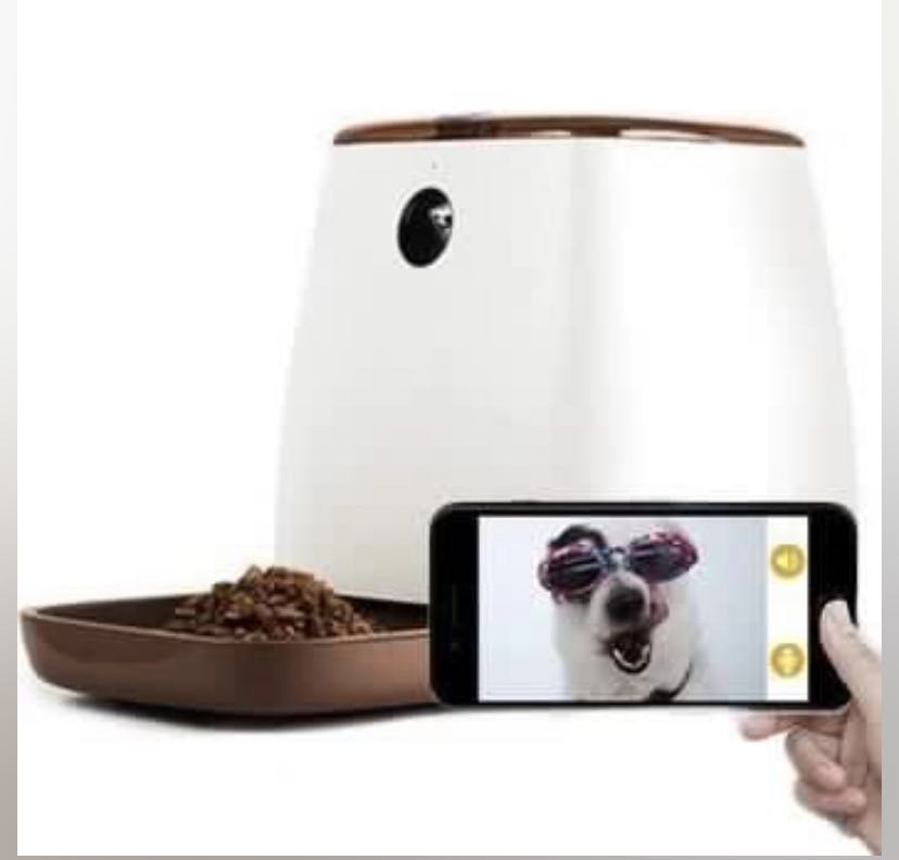 Smart paw pet feeder Pet Supplies Homes Other Pet Accessories on Carousell