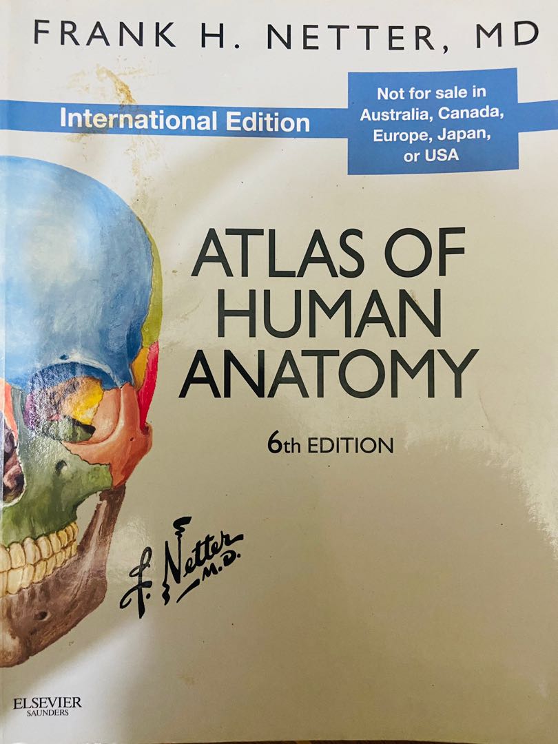 Frank H. Netter ATLAS OF HUMAN ANATOMY 6th edition, Hobbies & Toys ...