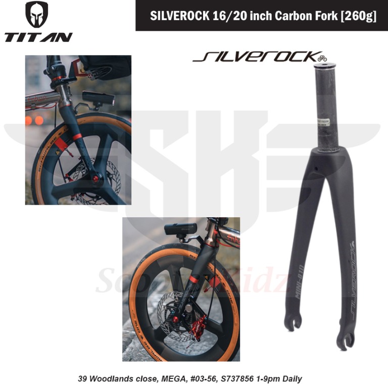 Brompton carbon discount fork