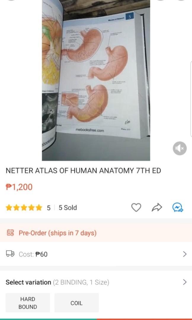 Atlas of Human Anatomy Netter 6th ed, Hobbies & Toys, Books & Magazines ...