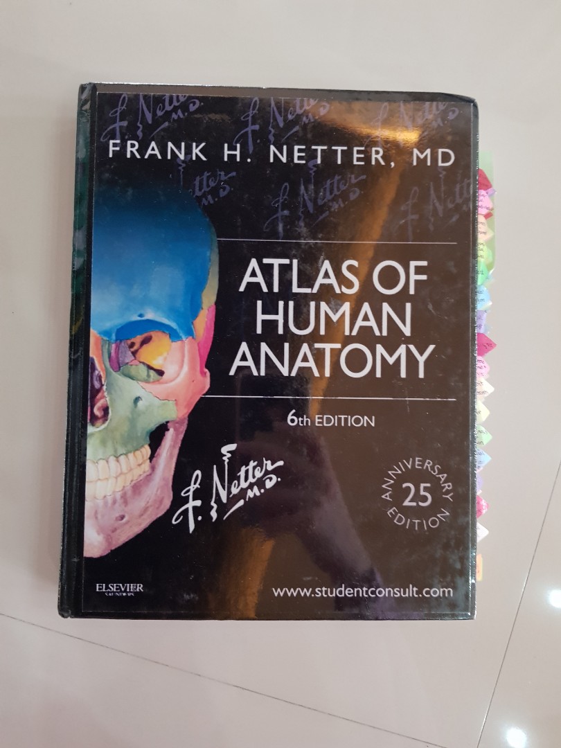 Atlas of Human Anatomy Netter 6th ed, Hobbies & Toys, Books & Magazines ...